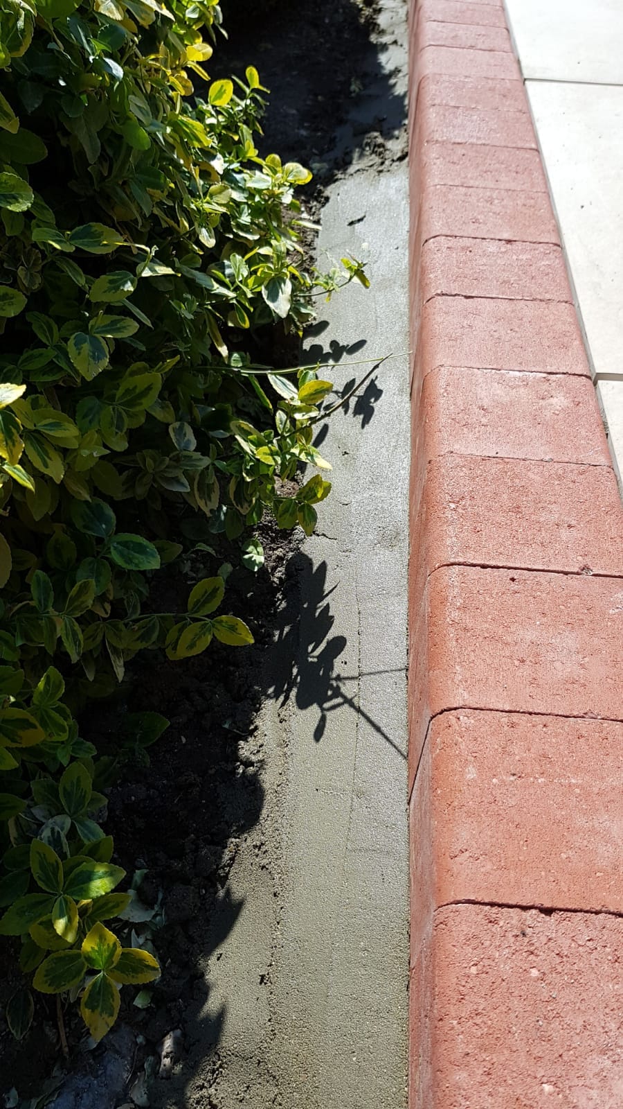 009c8a74-88ec-4d01-8e25-17cdf6fb7504